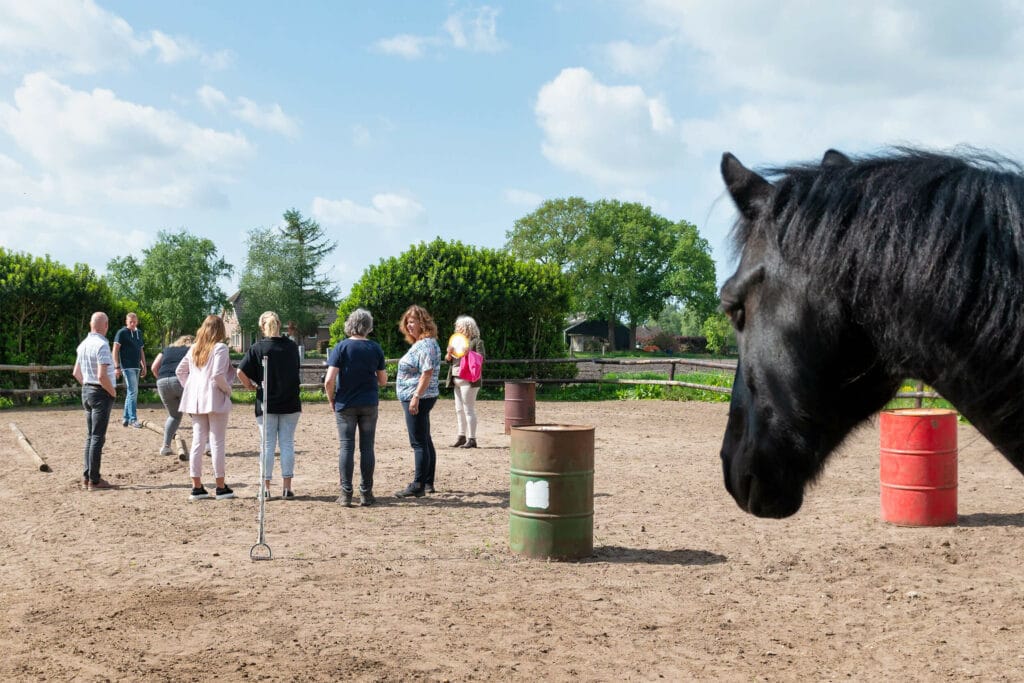 Persoonlijk leiderschap