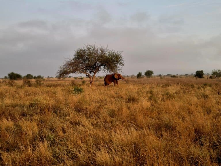 De vaderwond: wat zijn de gevolgen van een emotioneel afwezige vader?